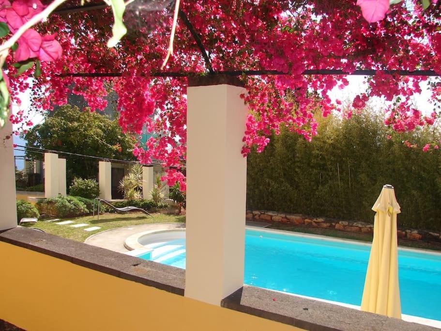Private Pool Apt. With Great View Funchal  Exterior foto