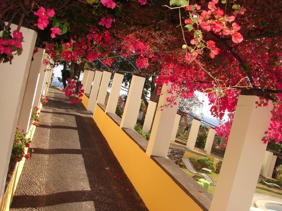 Private Pool Apt. With Great View Funchal  Exterior foto
