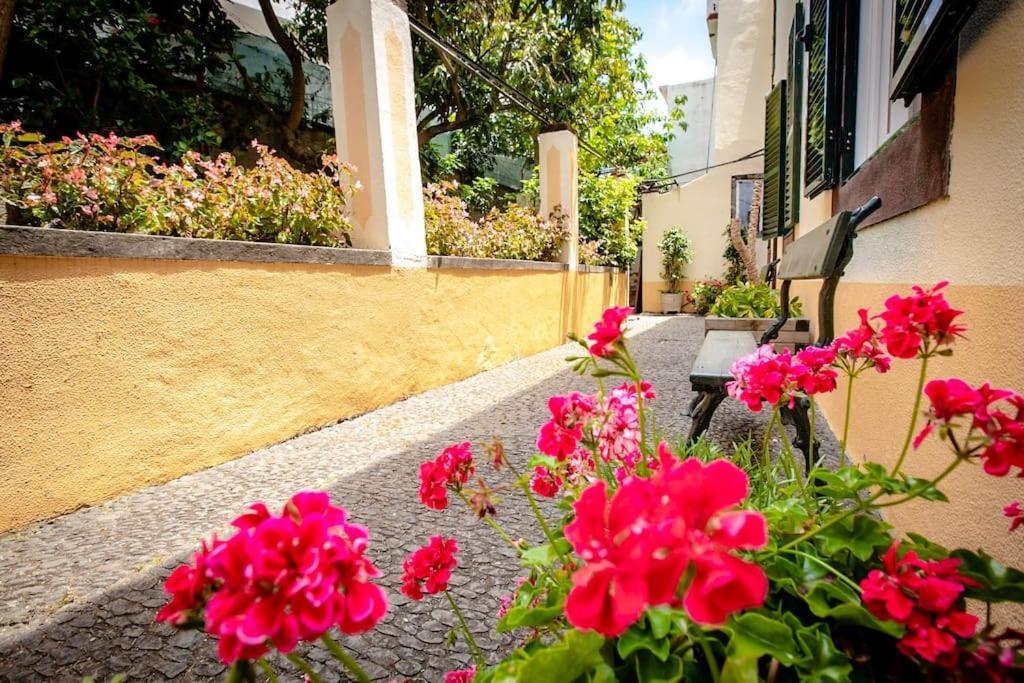 Private Pool Apt. With Great View Funchal  Exterior foto